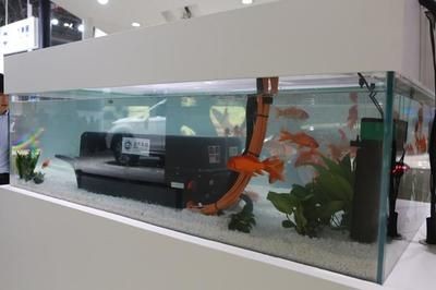 大型魚缸需要漏電保護(hù)嗎：大型魚缸需要漏電保護(hù)嗎？
