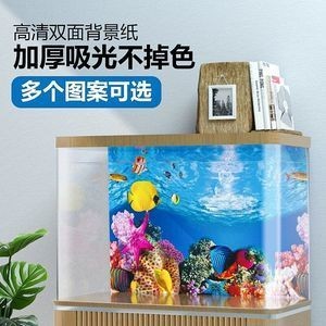 成品魚缸背景紙?jiān)趺锤鼡Q：如何更換魚缸背景紙，魚缸背景紙的選擇技巧和注意事項(xiàng)