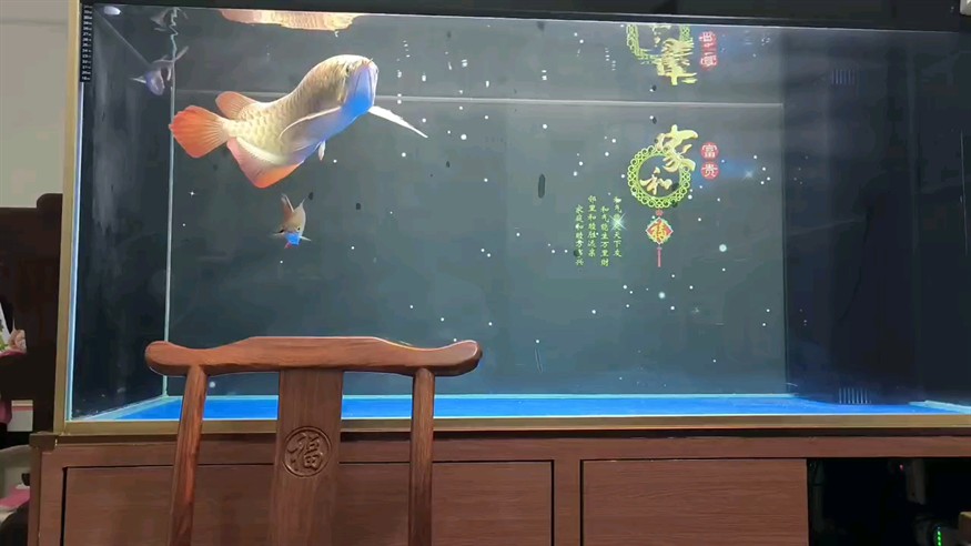 打卡，打卡