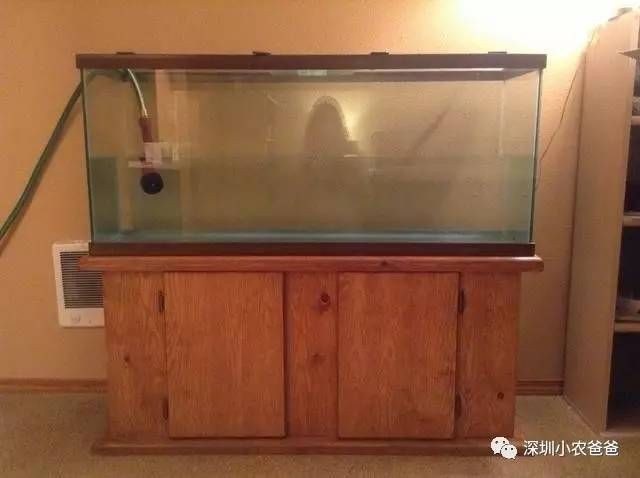 成品魚缸改造升級方案：成品魚缸改造升級之過濾升級