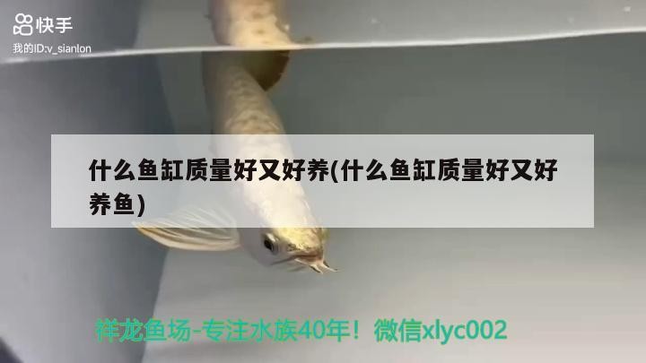 什么魚缸質量好又好養(什么魚缸質量好又好養魚)