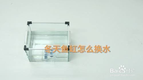 海口龍華劉首杰水族館（海口龍華劉首杰水族館地址）