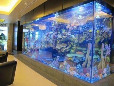 1.5米玻璃魚缸多重啊：1.5米玻璃魚缸多重