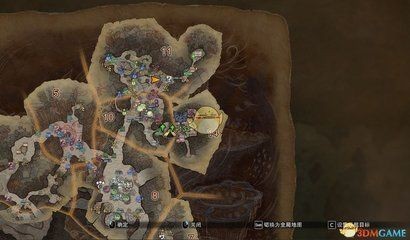 紅龍魚吃太飽會怎么樣：紅龍魚吃太飽會對健康產生負面影響
