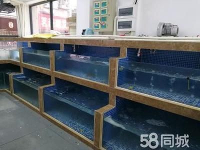 超市魚(yú)缸制作：海鮮魚(yú)缸的選擇