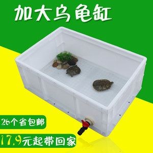 1.2米魚缸養什么龜：1.2米魚缸養什么龜缸適合養什么龜缸養什么龜