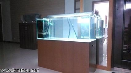 1米2魚缸配多大的過濾