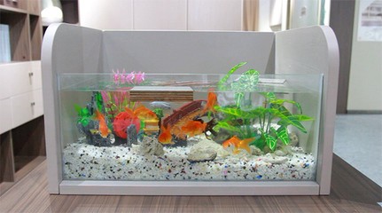 撫順市新撫鑫榮魚具用品店（撫順市新撫鑫榮魚具用品店地址）