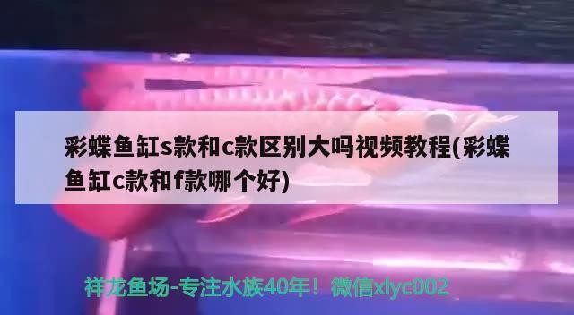 魚缸里放水草泥就能免換水嗎 （水草泥上面鋪一層河沙可以養好水草嗎）