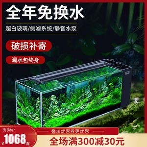 玻璃魚缸里的青苔怎么處理：如何處理魚缸青苔