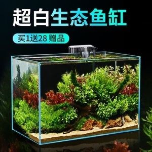 玻璃魚缸里的青苔怎么處理：如何處理魚缸青苔