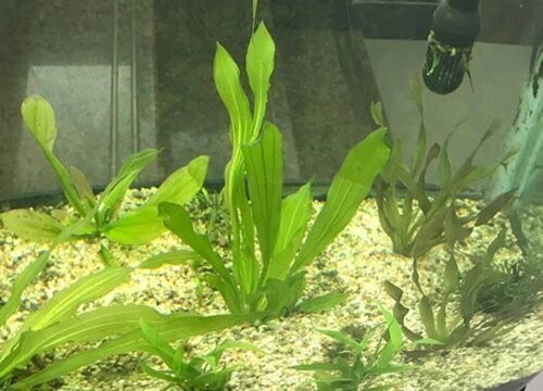 太原市小店區海一族生態設計室（太原海一家）