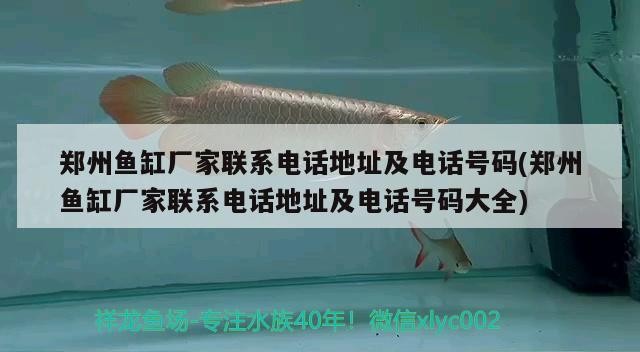鄭州魚缸廠家聯(lián)系電話地址及電話號碼(鄭州魚缸廠家聯(lián)系電話地址及電話號碼大全)