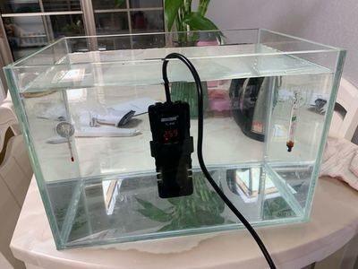 玻璃店的師傅在用玻璃做一個魚缸,他已經割了：如何使用玻璃來制作一個魚缸