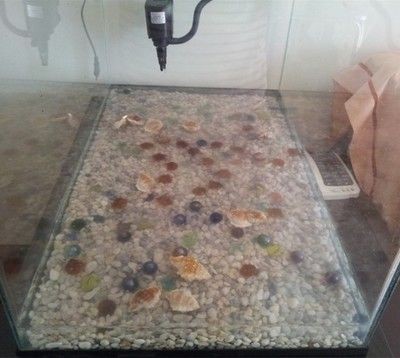 玻璃店的師傅在用玻璃做一個魚缸,他已經割了：如何使用玻璃來制作一個魚缸