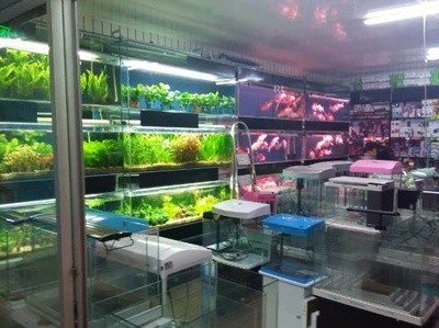 寧德市東僑經濟開發區魚樂水族城（寧德市東僑經濟開發區魚樂水族城地址）