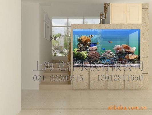 廣州觀賞魚批發市場，你的大別墅就快要到啦,不要著急哦，廣州觀賞魚批發市場