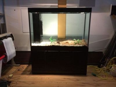 淡水哪里有賣魚缸的市場啊多少錢:淡水魚缸的選購指南 魚缸百科 第3張 淡水哪里有賣魚缸的市場啊多少錢:淡水魚缸的選購指南 淡水哪里有賣魚缸的市場啊多少錢:淡水魚缸的選購指南 魚缸百科 第3張
