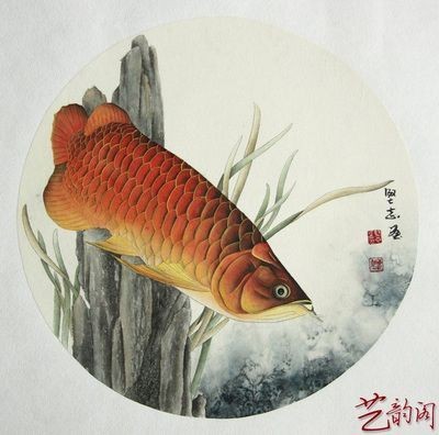 工筆金龍魚誰畫的好一點呢