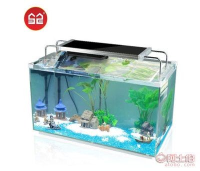 超白玻璃小魚缸好不好用：如何選擇合適的超白玻璃小魚缸