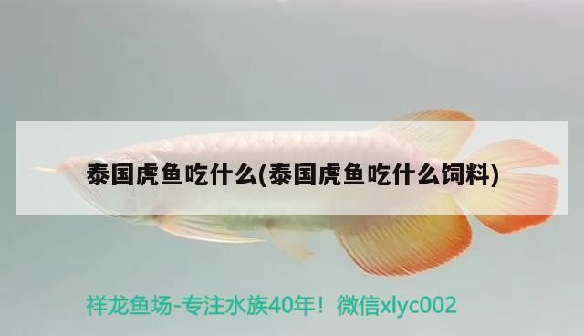 有哪些食物是龍魚不喜歡的？，龍魚不喜歡的食物是龍魚不喜歡的食物類型：龍魚