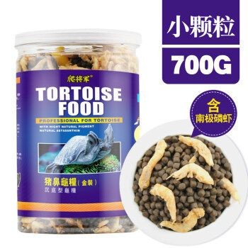 豬鼻龜?shù)胺趸^程視頻播放：豬鼻龜孵化全過程