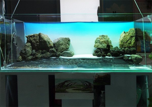 大魚缸石頭造景效果圖：大魚缸石頭造景的種類和特點