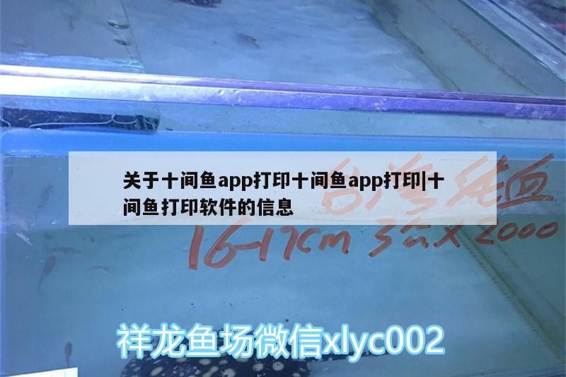 關于十間魚app打印十間魚app打印|十間魚打印軟件的信息