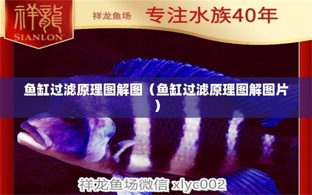 上海深喜企業(yè)（集團(tuán)）有限公司常州分公司（深喜集團(tuán)老總）