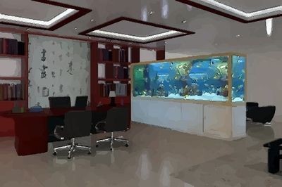 辦公室門口放魚缸好嗎：辦公室門口應該放魚缸嗎？