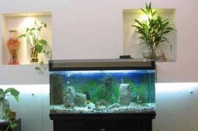 辦公室門口放魚缸好嗎：辦公室門口應該放魚缸嗎？