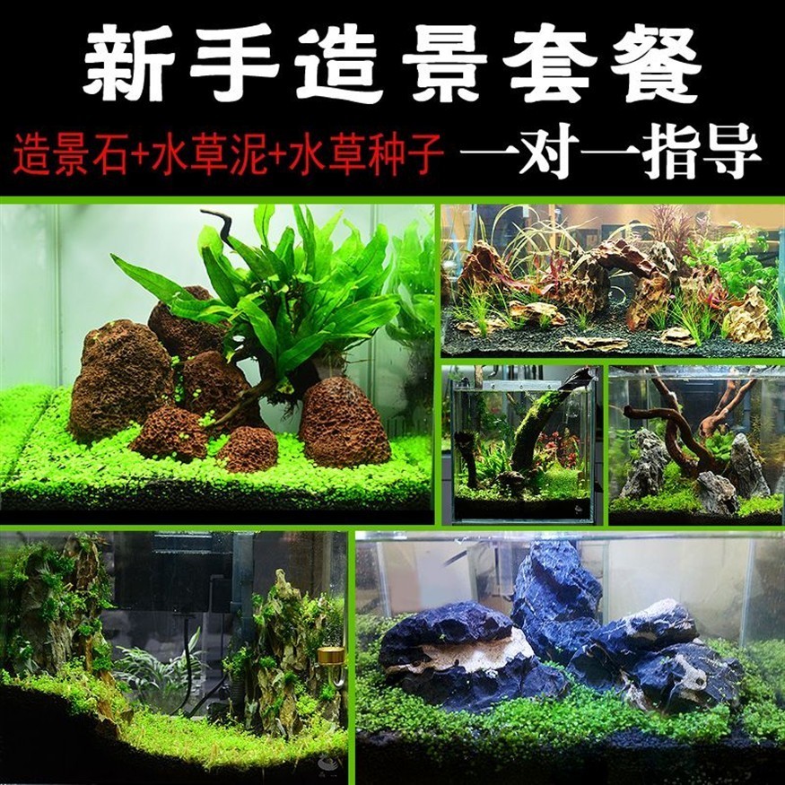 粗陶魚缸造景圖：\"粗陶魚缸造景圖\"