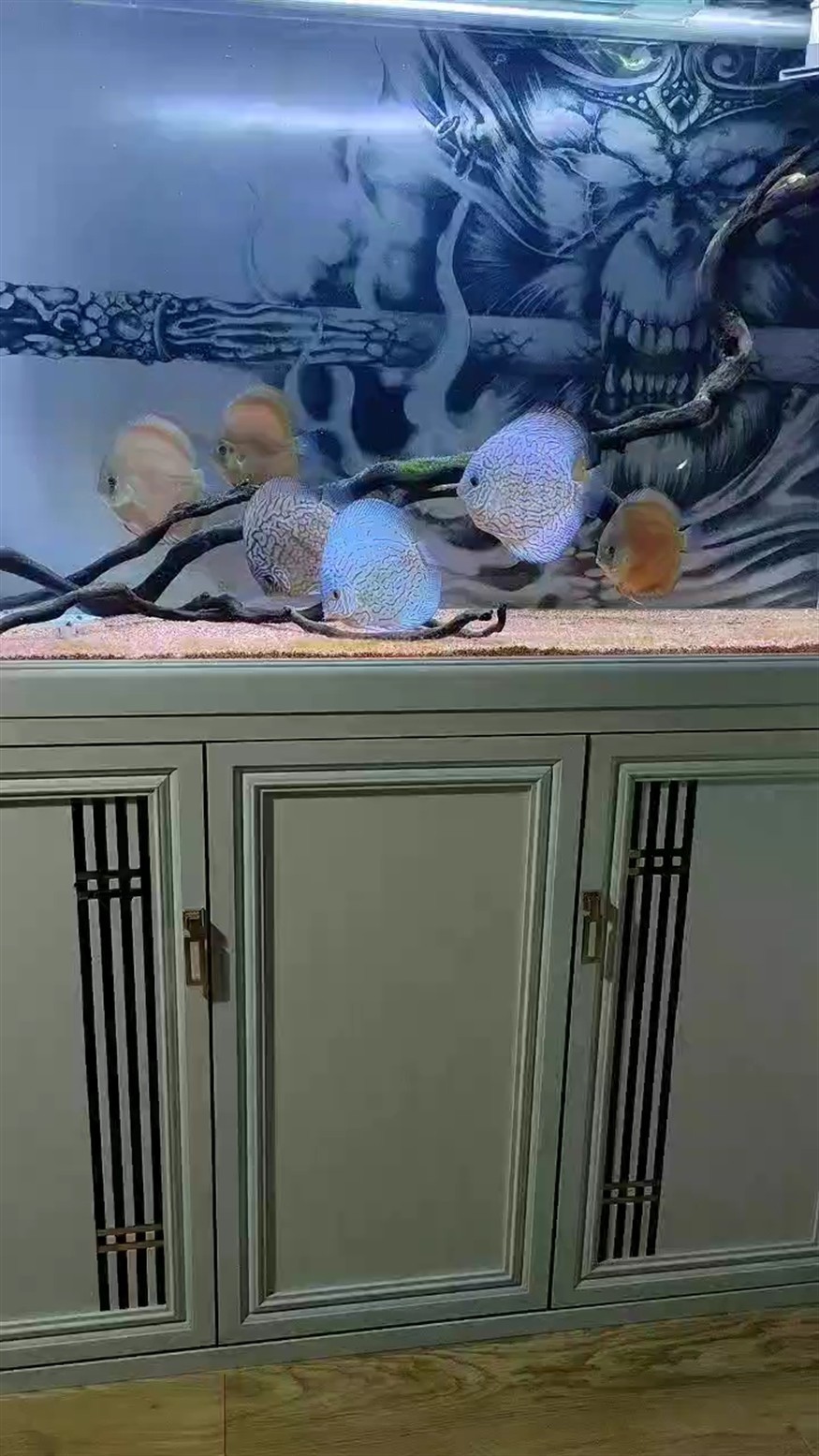我的家人們