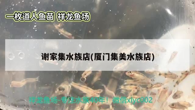謝家集水族店(廈門集美水族店)