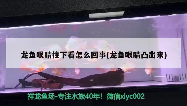 三紋虎魚(yú)（三紋虎魚(yú)黑沙能退嗎）