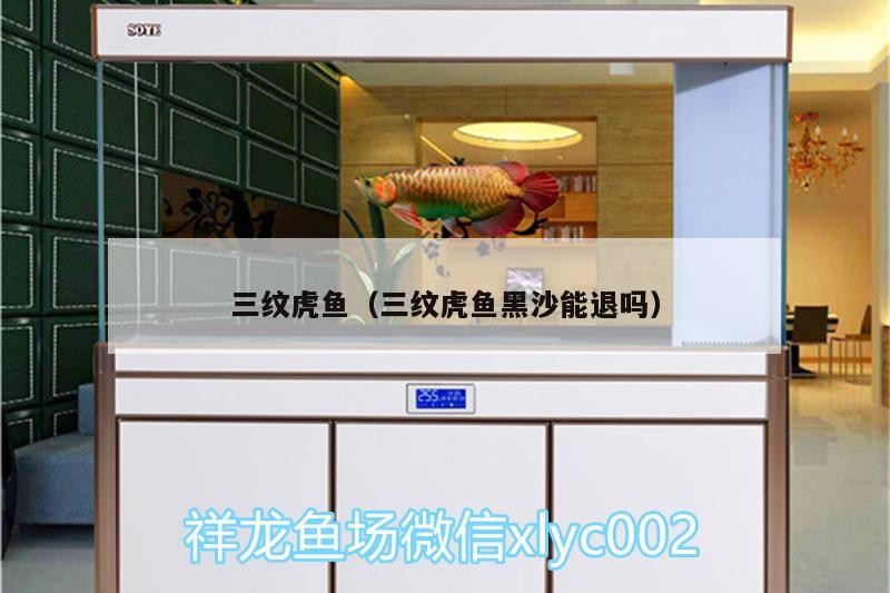 三紋虎魚(yú)（三紋虎魚(yú)黑沙能退嗎）