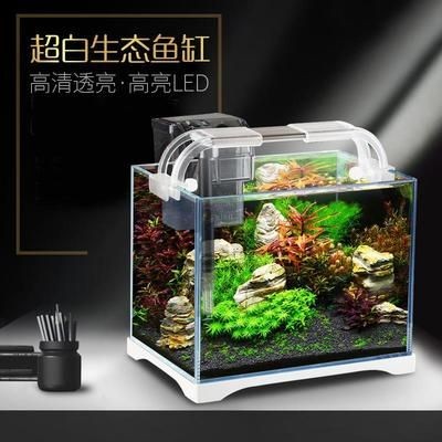 超白魚缸和熱彎魚缸哪個好養：超白魚缸與熱彎魚缸的區別