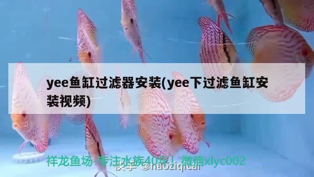 自貢市匯東新區菁雅水族館（自貢市匯東新區菁雅水族館電話）