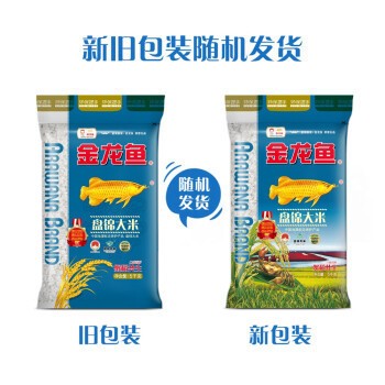 紅龍魚趴缸亂竄怎么回事啊（紅龍魚趴缸亂竄怎么回事啊視頻）