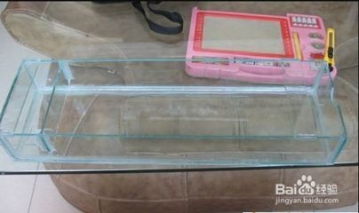 龍魚(yú)須子一高一低會(huì)自行恢復(fù)嗎？，龍魚(yú)須子一高一低是常見(jiàn)現(xiàn)象嗎龍魚(yú)須子一高一低會(huì)自行恢復(fù)嗎