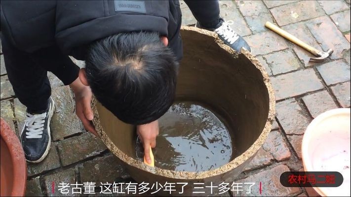 武邑縣睦園水族館（武邑縣睦園水族館電話(huà)）