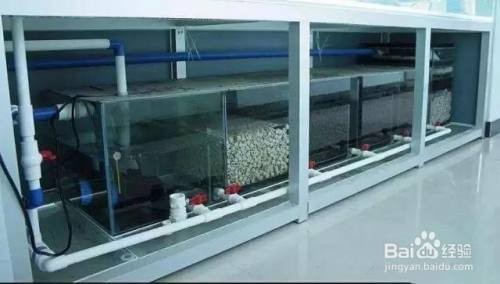 南陽中農(nóng)高盛生物工程有限公司（南陽中農(nóng)高盛生物工程有限公司怎么樣）
