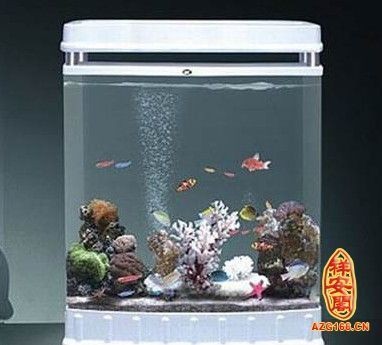 百子圖魚缸：百子圖魚缸怎么樣？