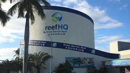 帶我去魚缸咖啡店英文翻譯