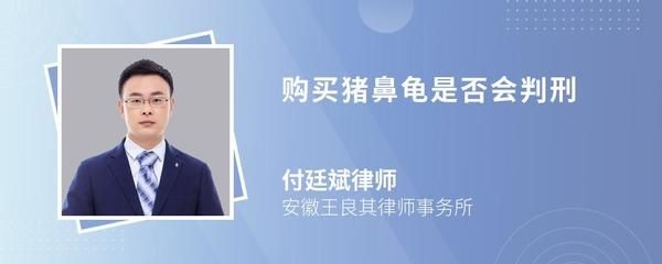 買豬鼻龜判刑：買賣豬鼻龜判刑么