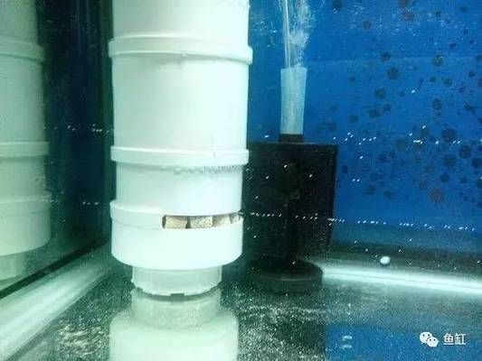 leo魚缸過濾改裝：魚缸過濾系統升級了解魚缸過濾系統升級方法