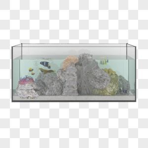 玻璃管魚缸視頻：玻璃管魚缸制作過程、創意設計以及日常維護等方面的內容