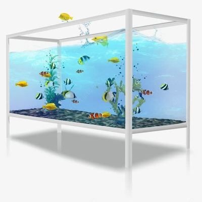 玻璃管魚缸視頻：玻璃管魚缸制作過程、創意設計以及日常維護等方面的內容