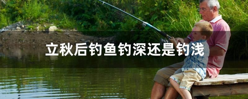 立秋后釣魚釣深還是釣淺 立秋后釣魚釣深還是釣淺 豬鼻龜百科