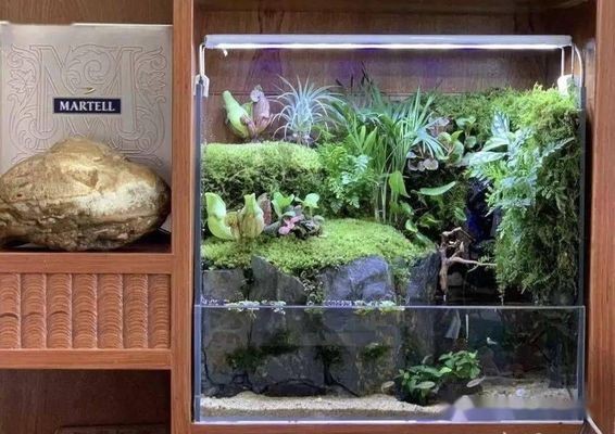 攀枝花市東區(qū)西海岸華盛水族館：攀枝花市東區(qū)西海岸華盛水族館電話